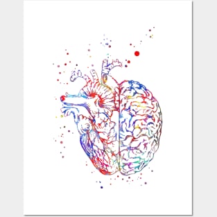 Brain and heart Posters and Art